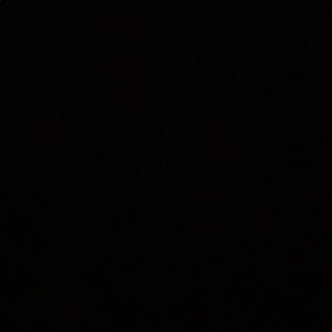 Meet your Posher, Ricky